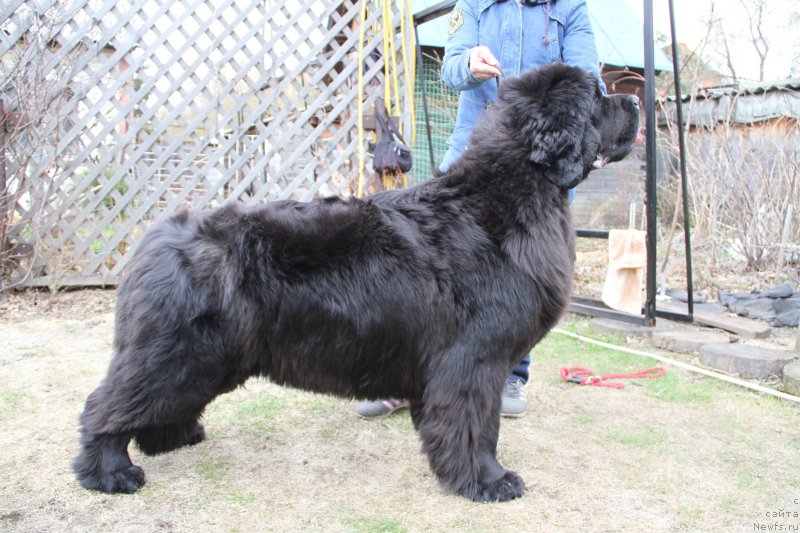 Фотография № 180663