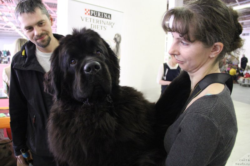 Фотография № 180667