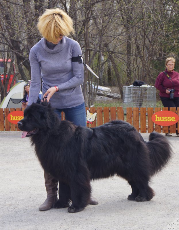 Фотография № 180668