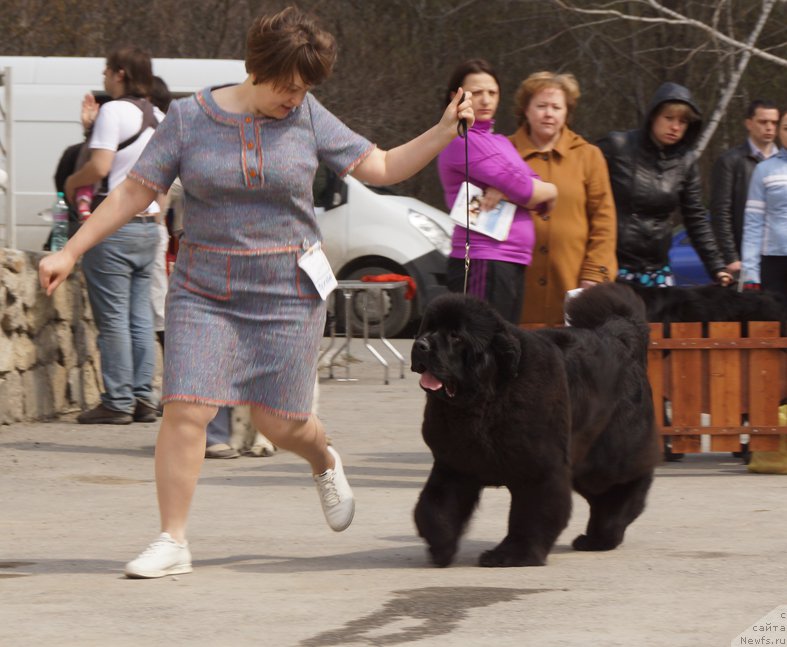 Фотография № 180670