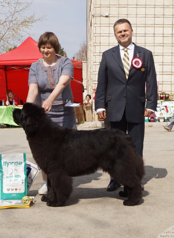 Фотография № 180671