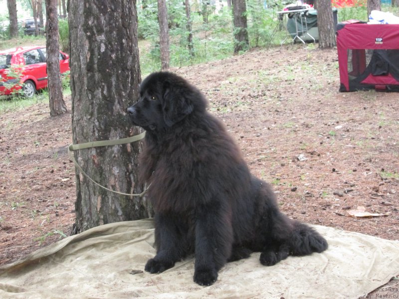 Фото: СЕВЕРТАН ЮРДЕК