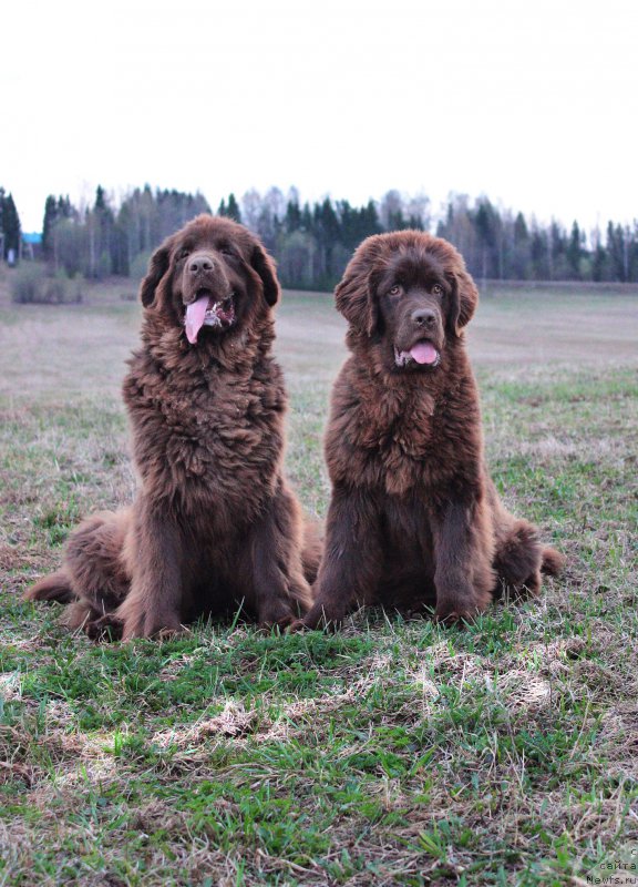 Фотография № 180681