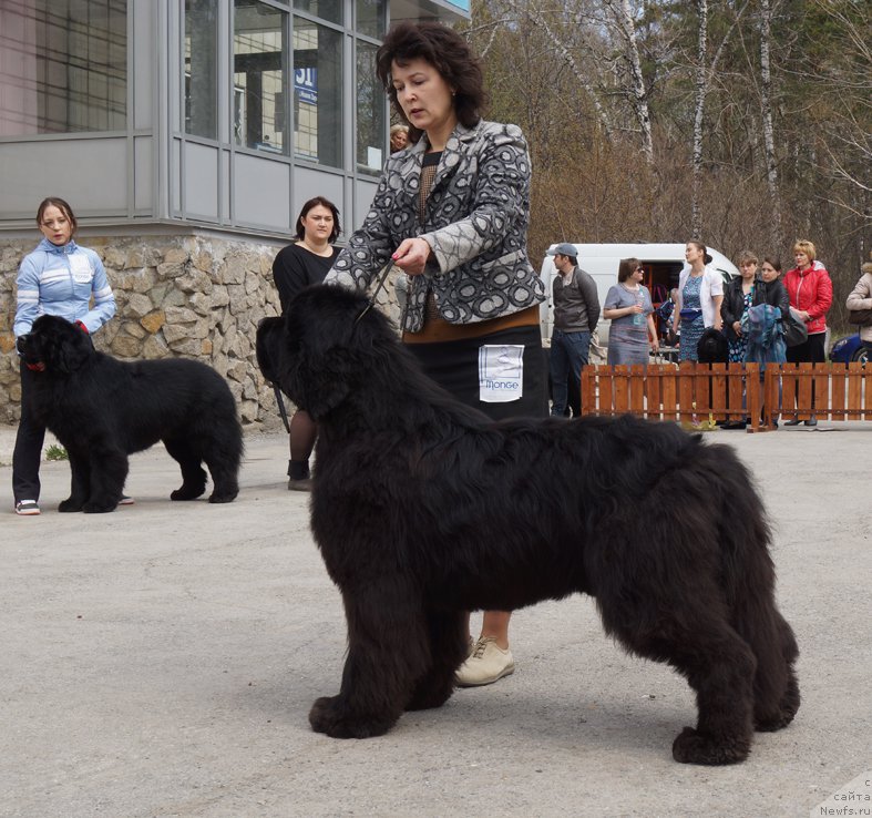 Фотография № 180685