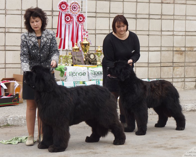 Фотография № 180687