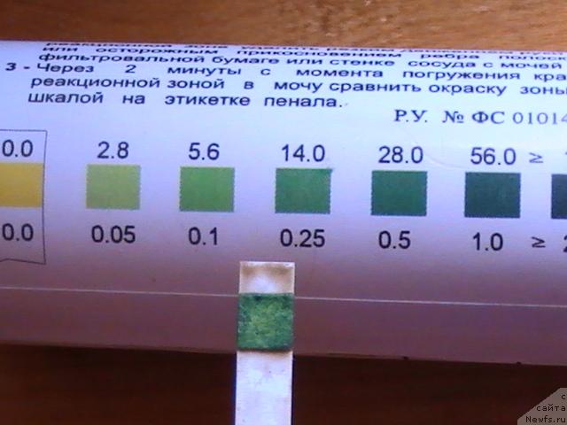 Фотография № 18069