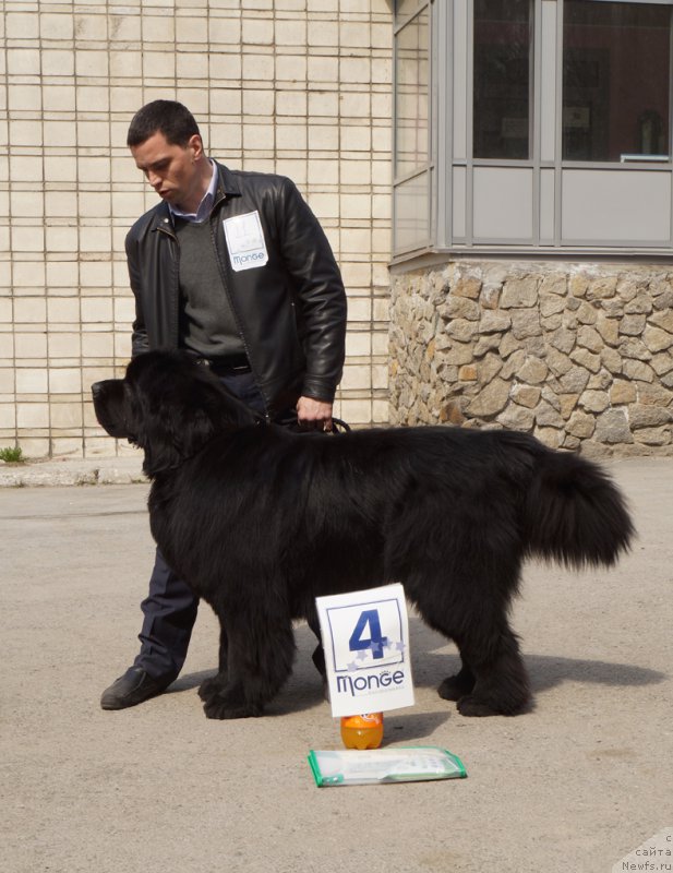 Фотография № 180704