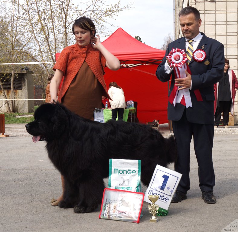 Фотография № 180708