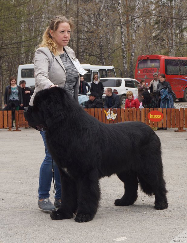 Фотография № 180710