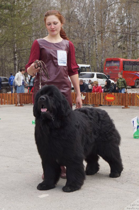 Фотография № 180711