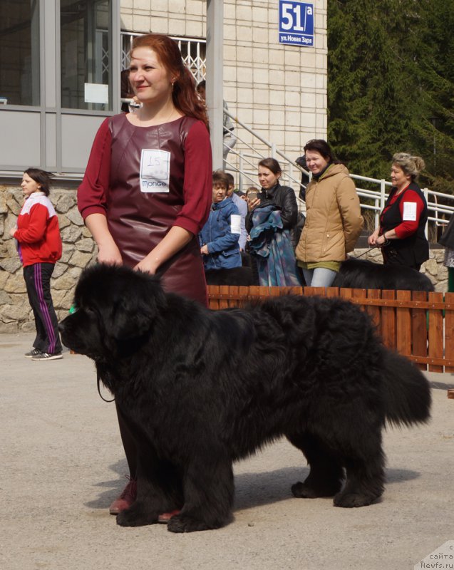 Фотография № 180712