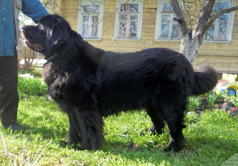 Фотография № 180716