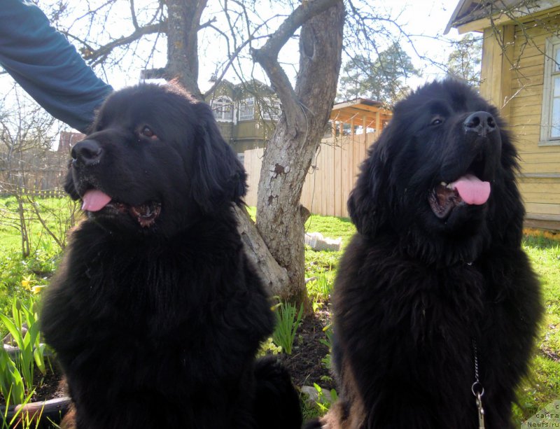 Фотография № 180717