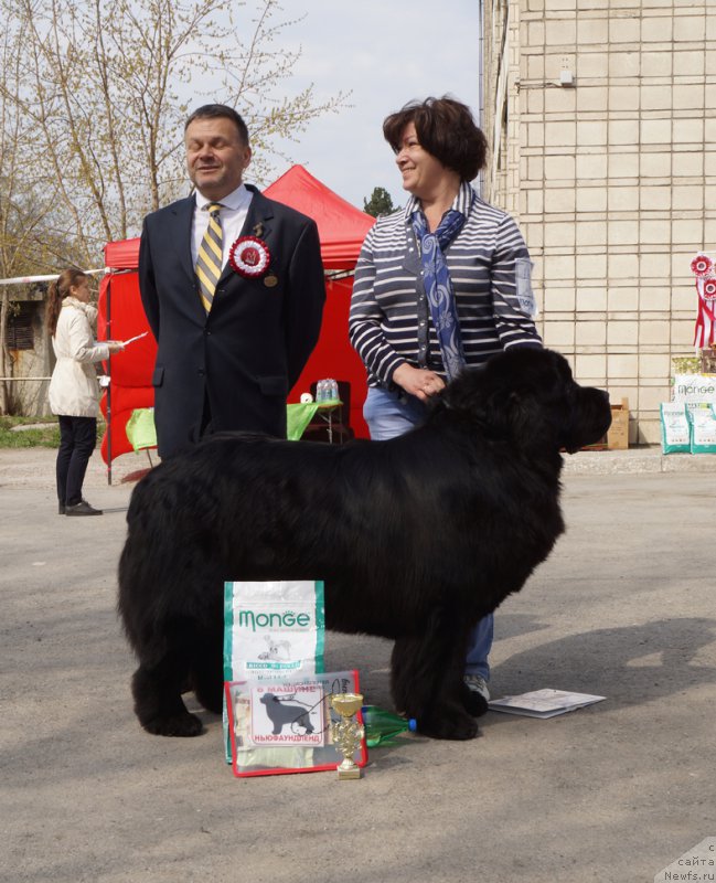 Фотография № 180725