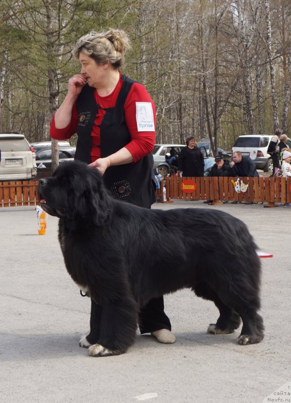 Фотография № 180728