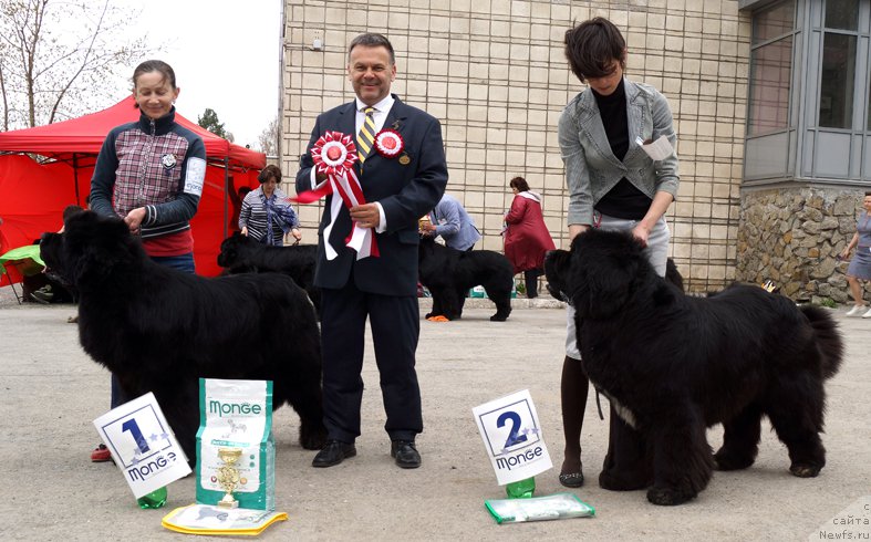 Фотография № 180752