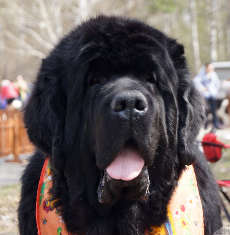 Фотография № 180753