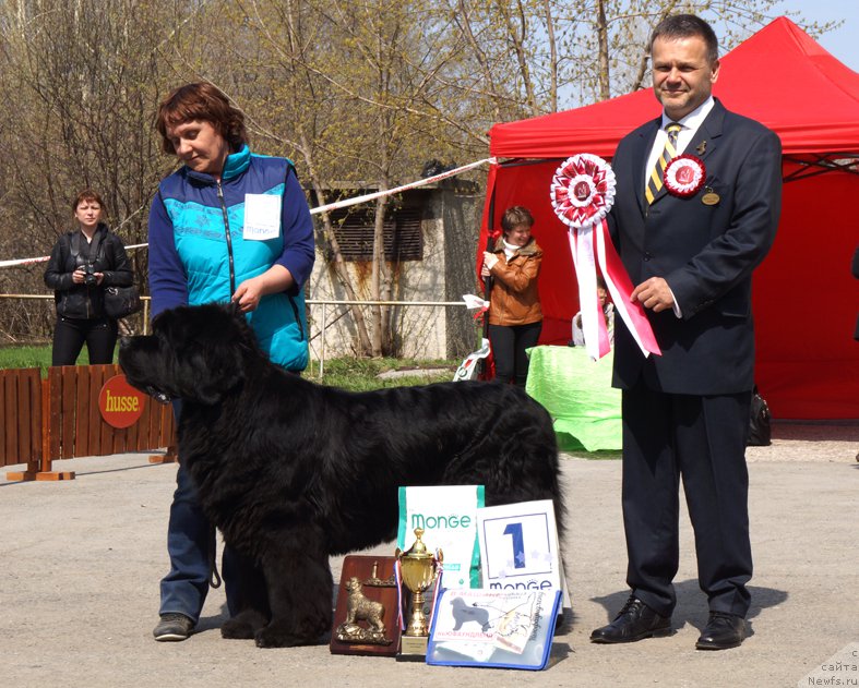 Фотография № 180754