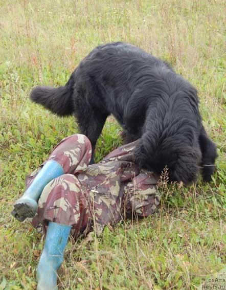 Фотография № 18077