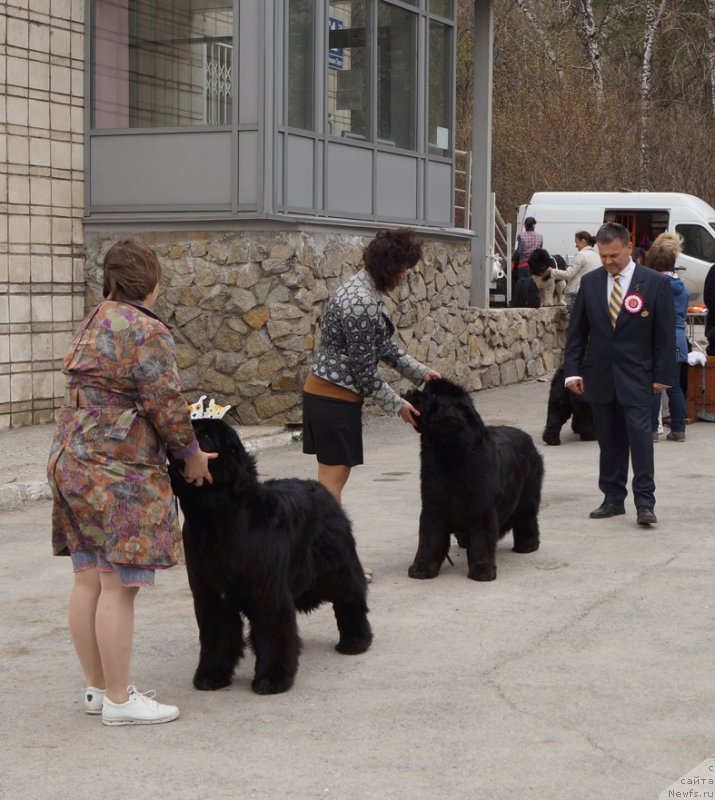 Фотография № 180771