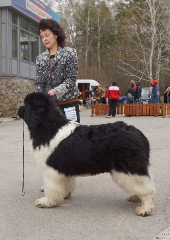 Фотография № 180777