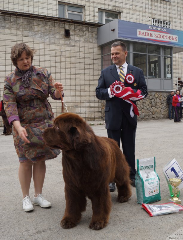 Фотография № 180784