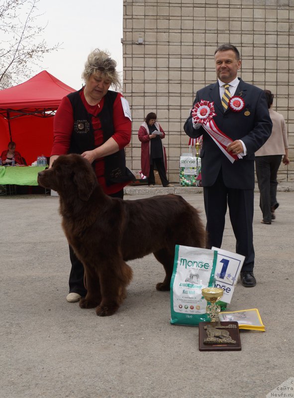 Фотография № 180785