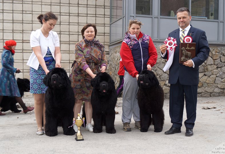 Фотография № 180786