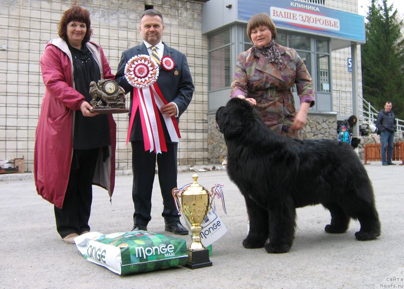 Фотография № 180787