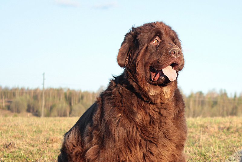 Фотография № 180835