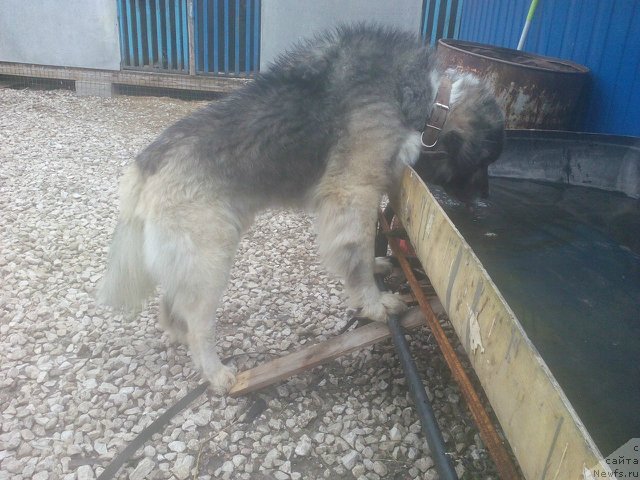 Фотография № 180849