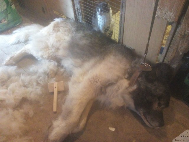 Фотография № 180850