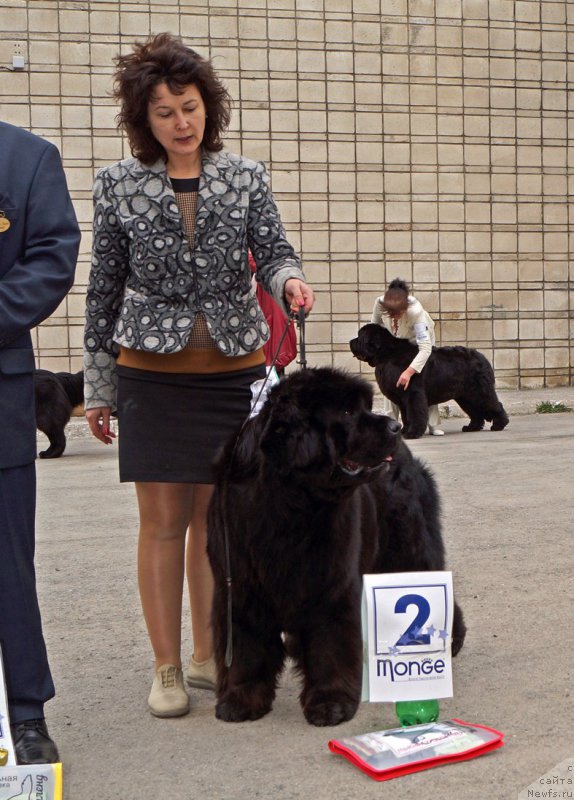 Фотография № 180852