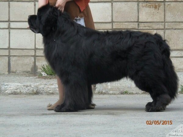 Фотография № 180877