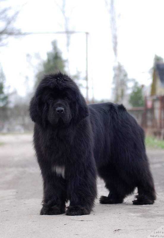 Фотография № 180896