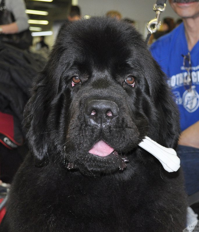 Фотография № 180902