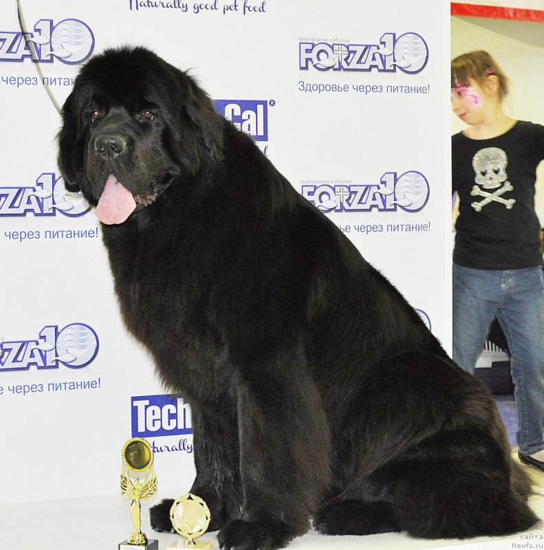 Фотография № 180904