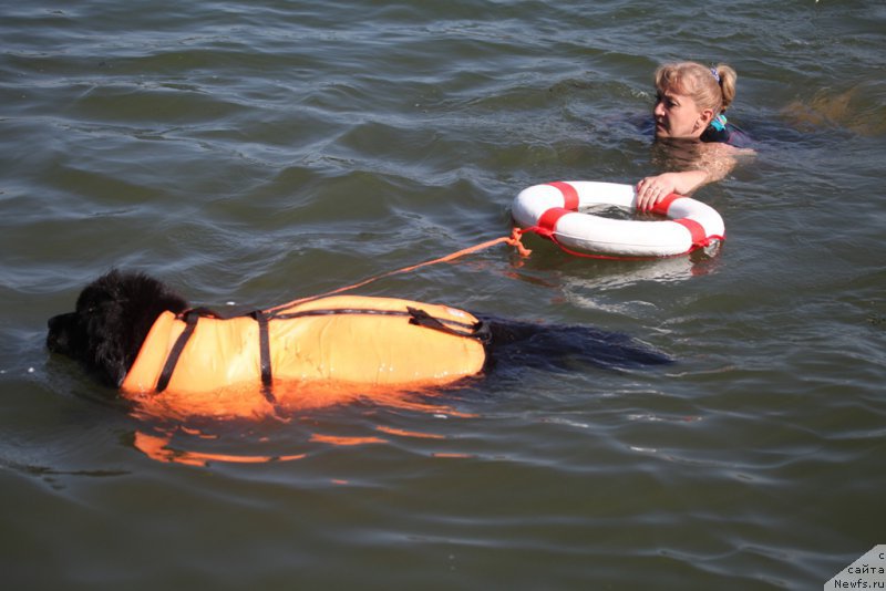 Фотография № 180955