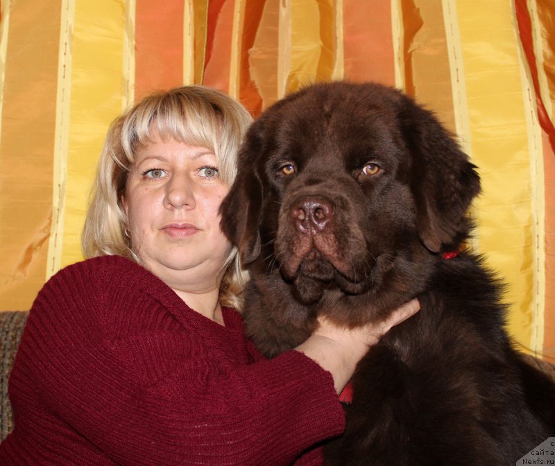 Фото: Elena Kuzina (Елена Кузина), ньюфаундленд Nyesh Sollar Vind (Нэш Соллар Винд)