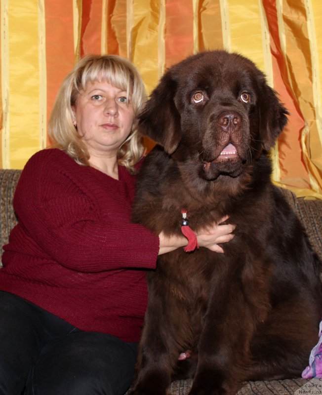 Фотография № 180960