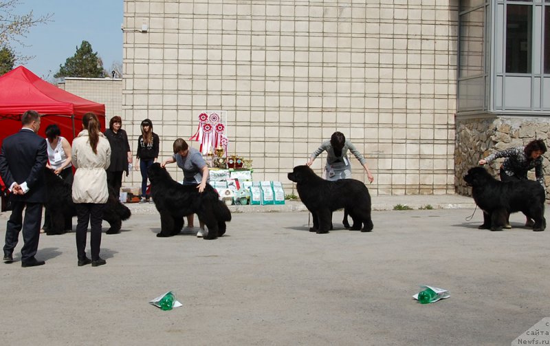 Фотография № 180962