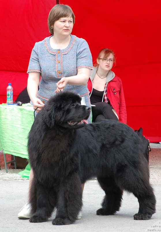 Фотография № 180964