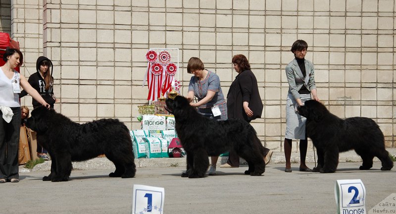 Фотография № 180972