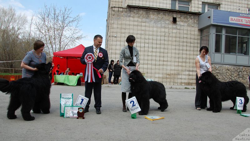 Фотография № 180973