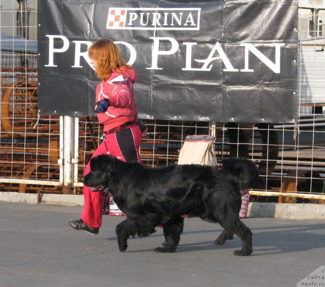 Фотография № 18104