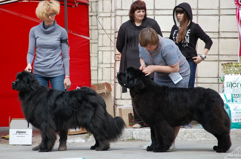 Фотография № 181044