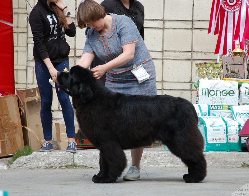 Фотография № 181048