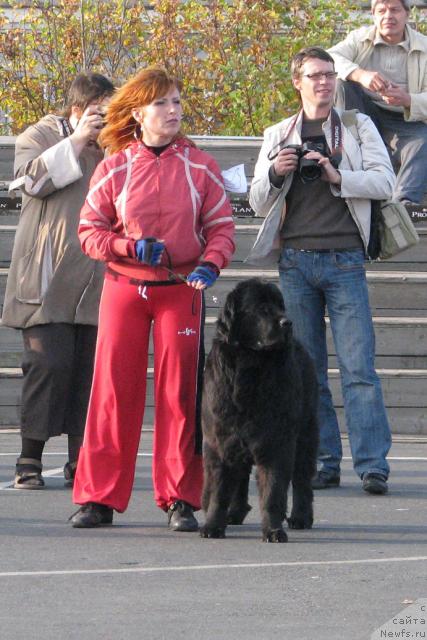 Фотография № 18105