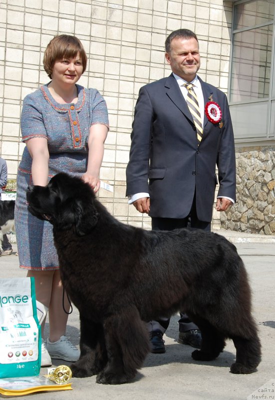 Фотография № 181053