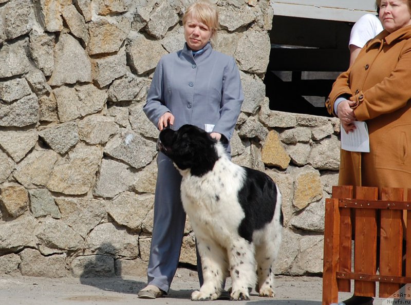 Фотография № 181054